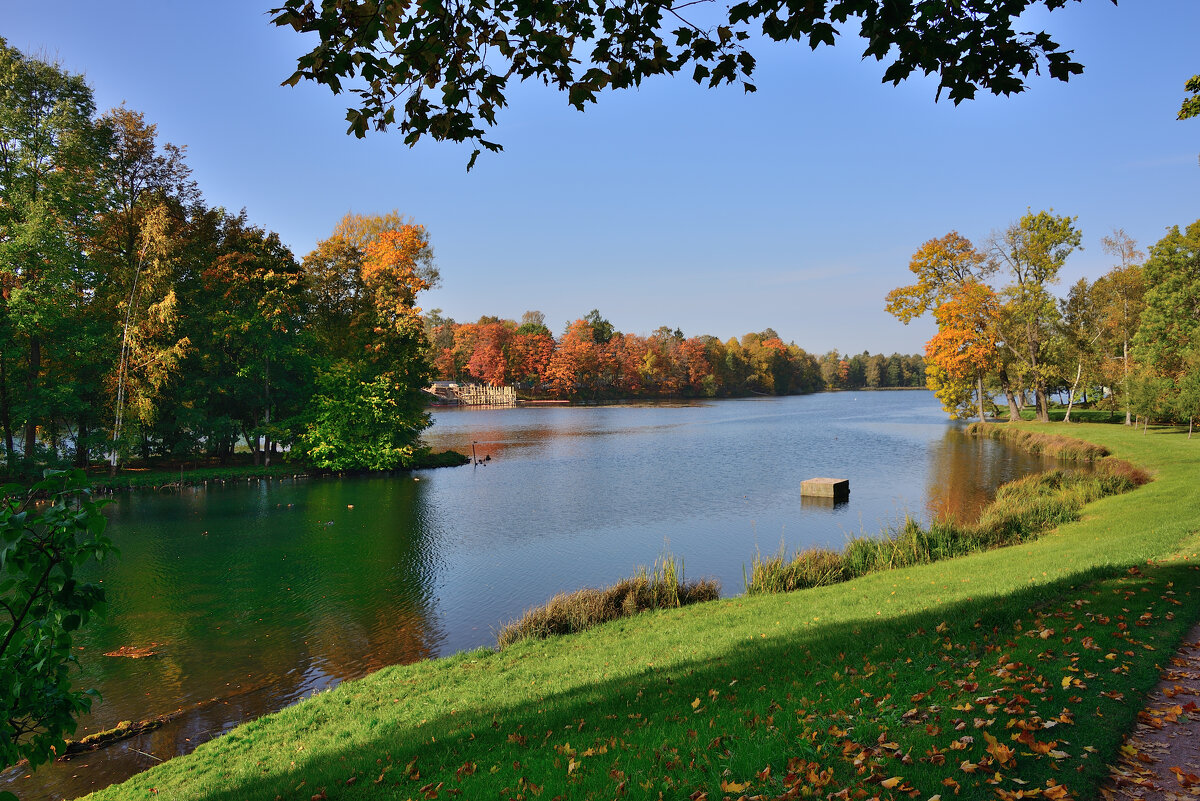 Гатчинский парк - Александр Хаецкий