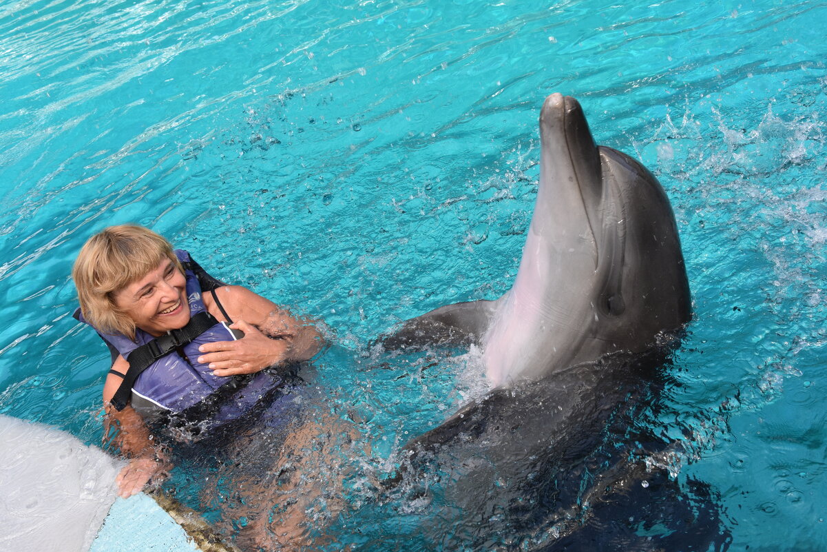 23 июля - всемирный день дельфинов и китов - Татьяна Машошина