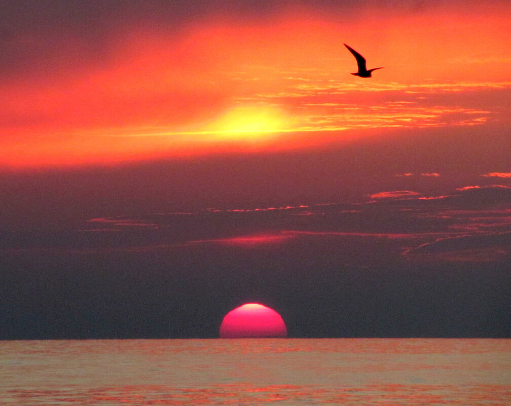 At tht sunset - Валерий 