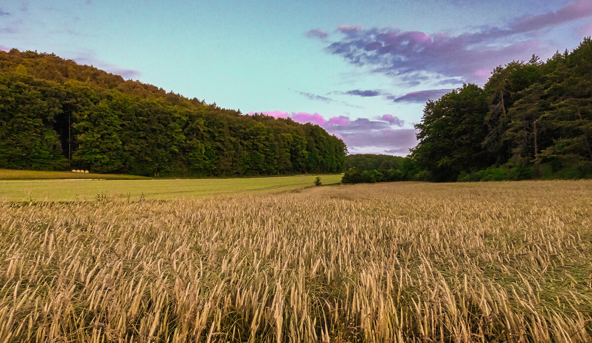 Утро - Waldemar F. Утро - Waldemar F.