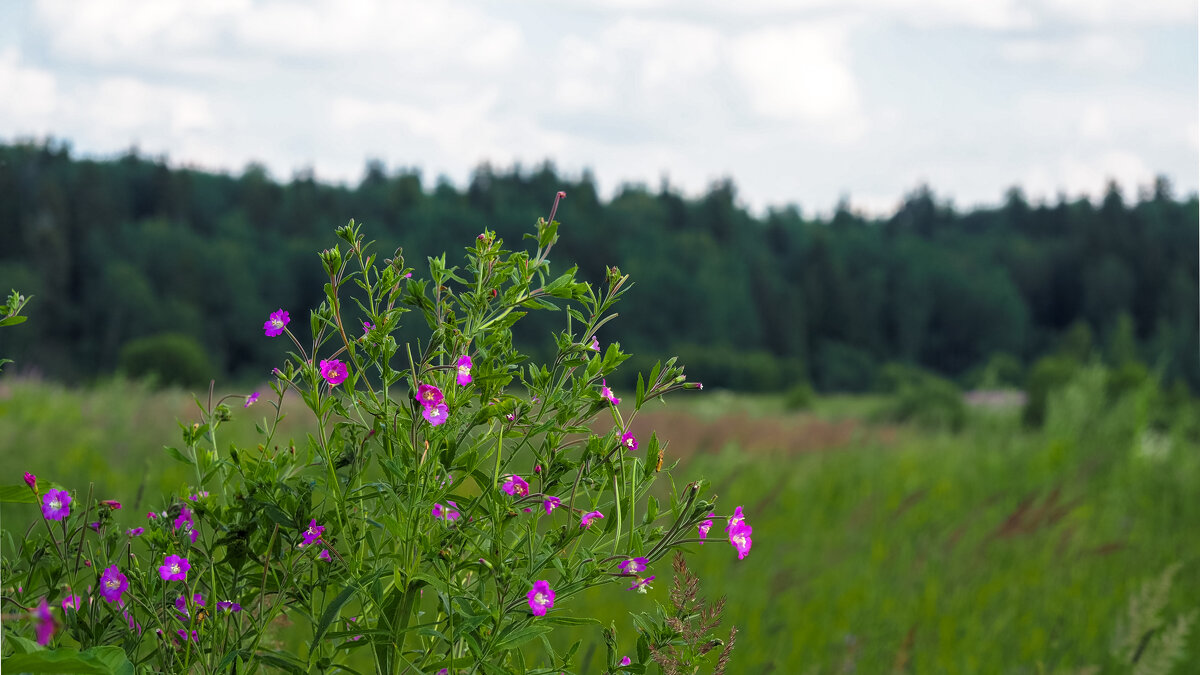 ***** - юрий поляков