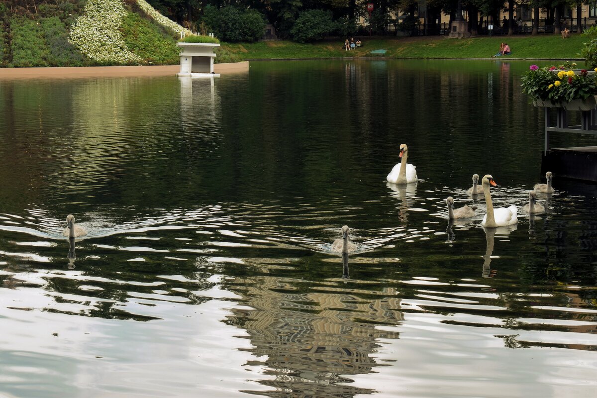 Вся семья в сборе. - Татьяна Помогалова Вся семья в сборе. - Татьяна Помогалова