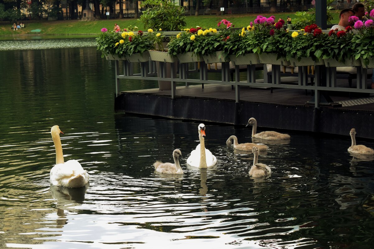 Волнуется вся семья, - Татьяна Помогалова