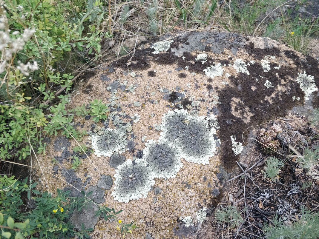 Чудеса - Андрей Хлопонин Чудеса - Андрей Хлопонин