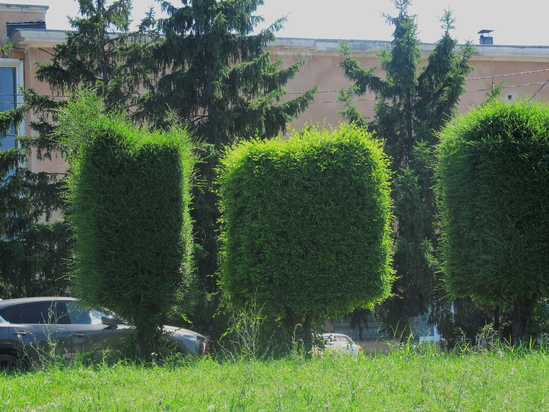 Июльский зной - Елена Шаламова Июльский зной - Елена Шаламова