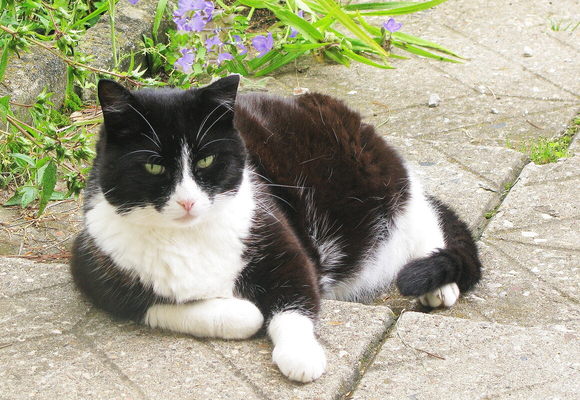 На любимом месте - Людмила Смородинская