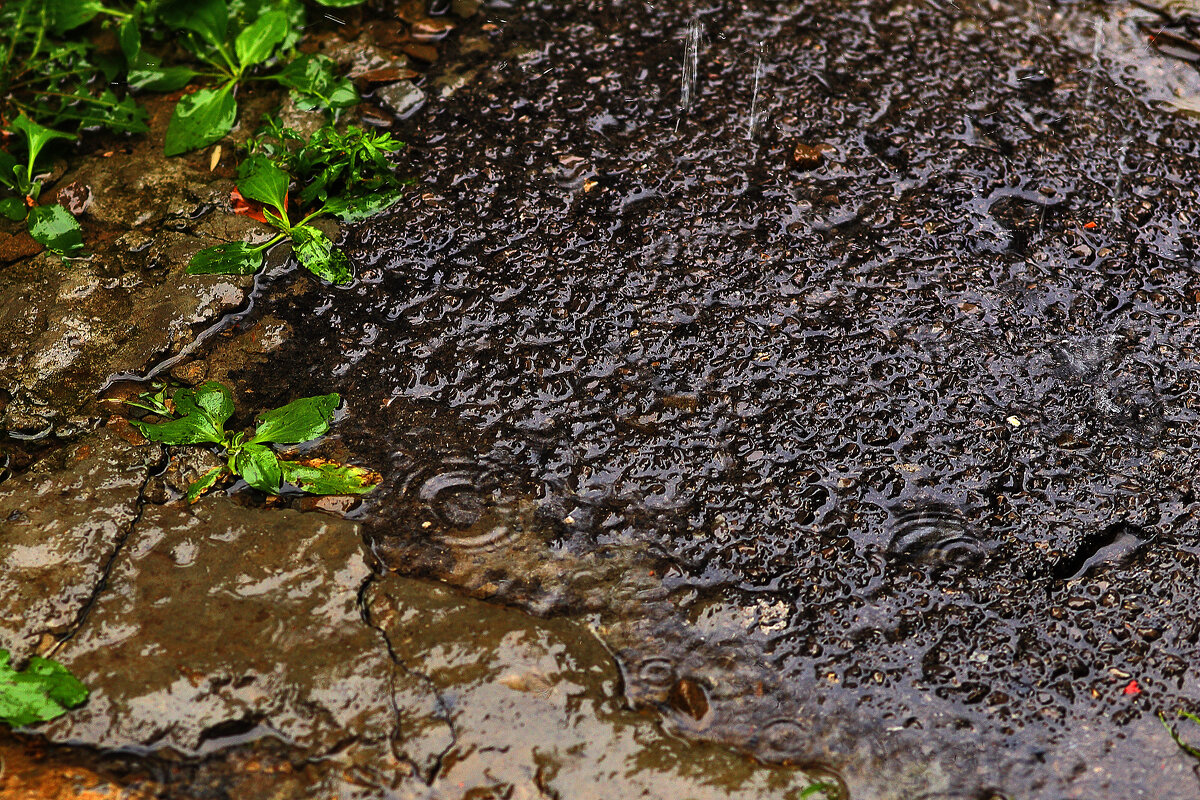 Пасмурно - Юрий Гайворонскiий