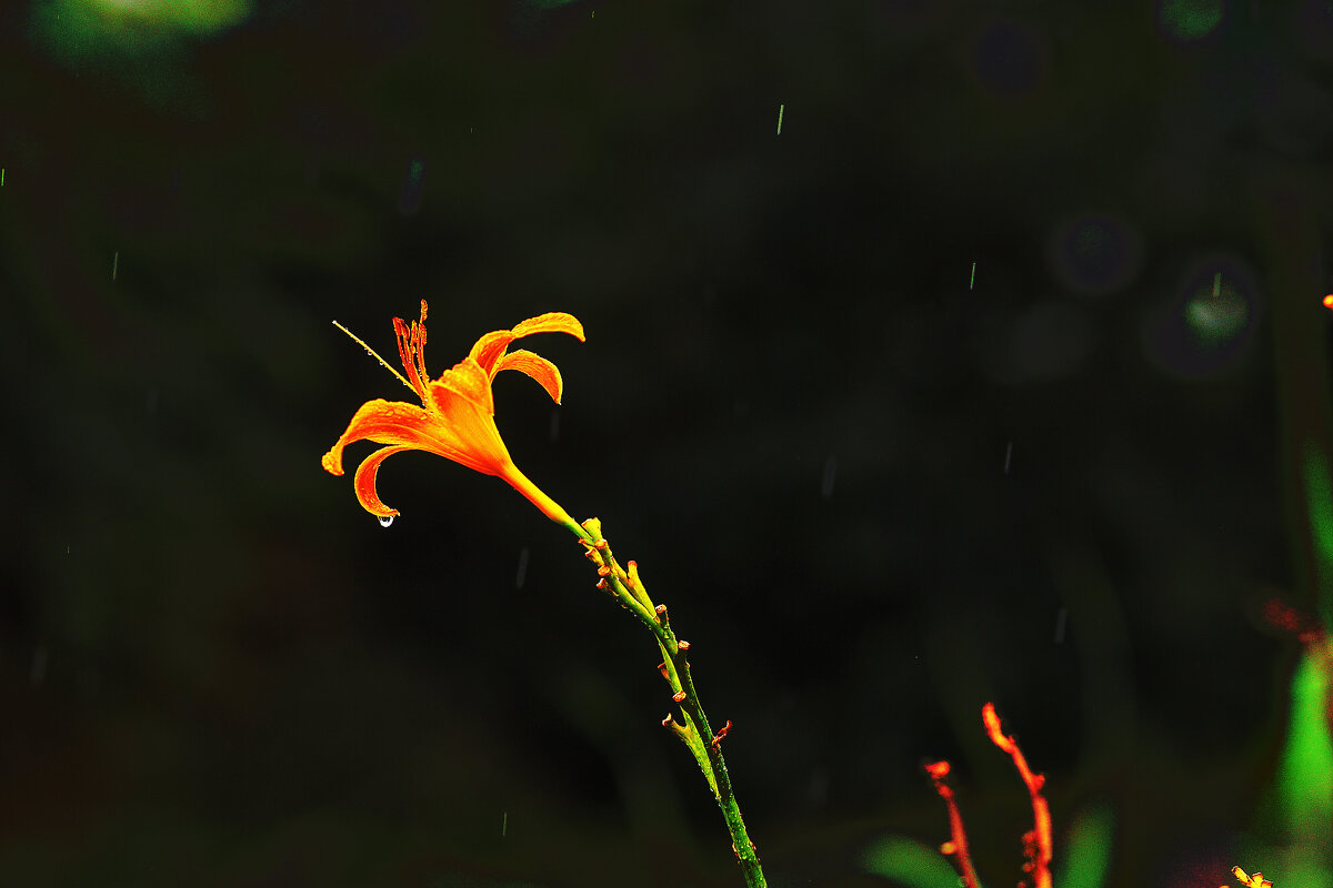 Одна из последних - Юрий Гайворонскiий