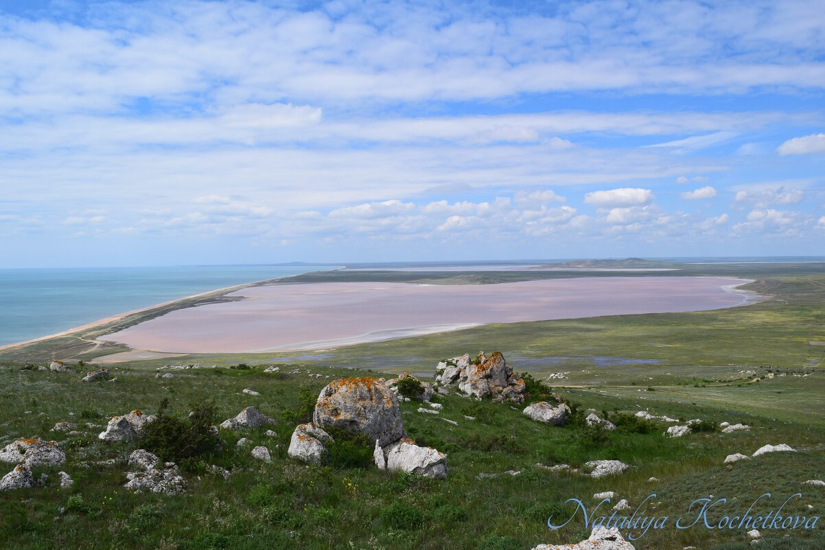 Природа Крыма - Amazing Cosmea
