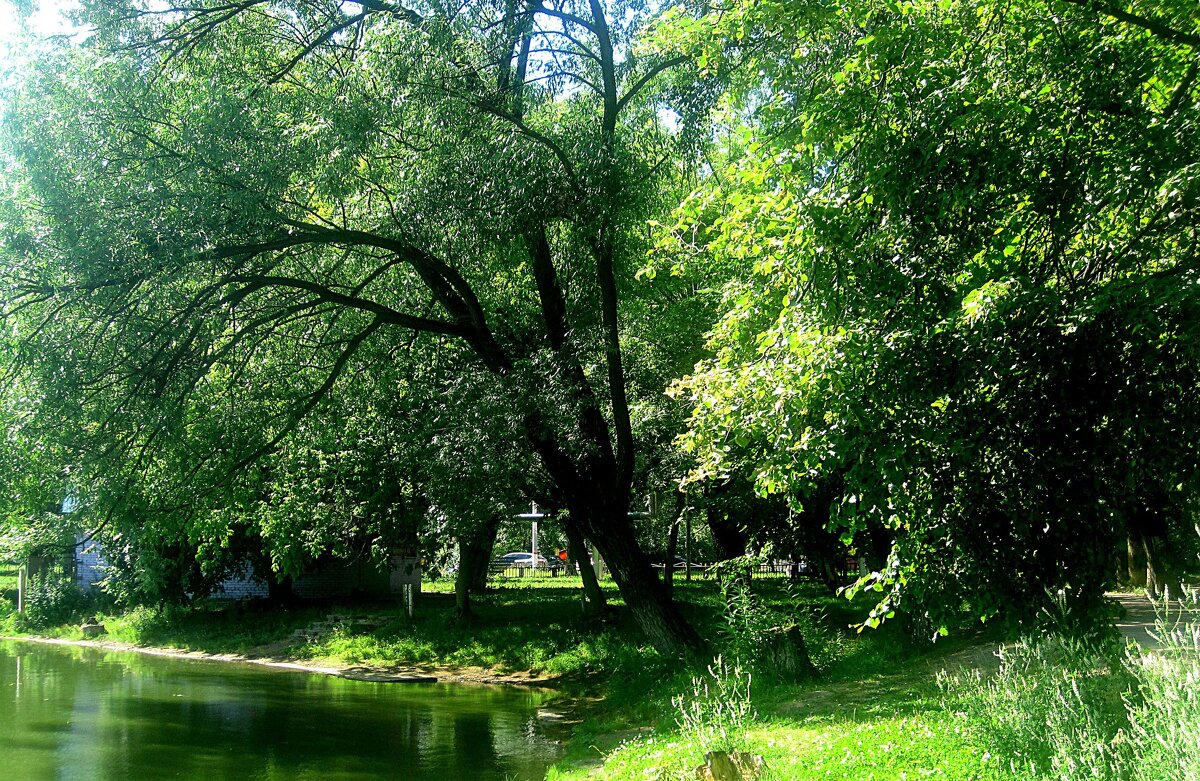 Летом у озера - Елена Семигина