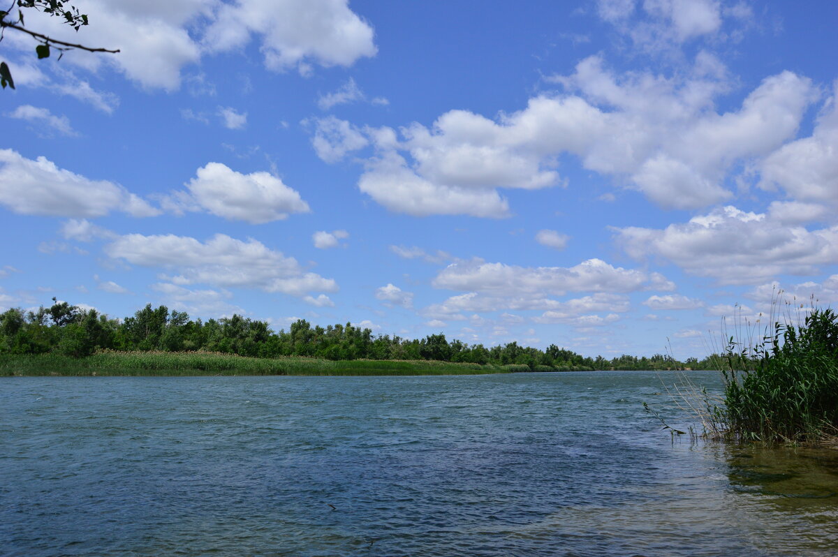 Дон. - Виктор 