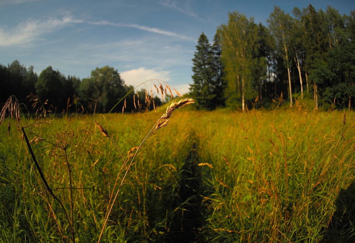 В Павловском парке - Магомед .