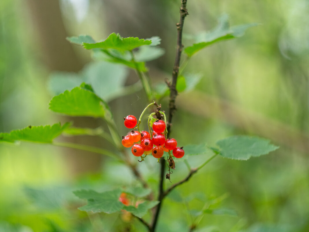 ___ - Yuriy V ___ - Yuriy V