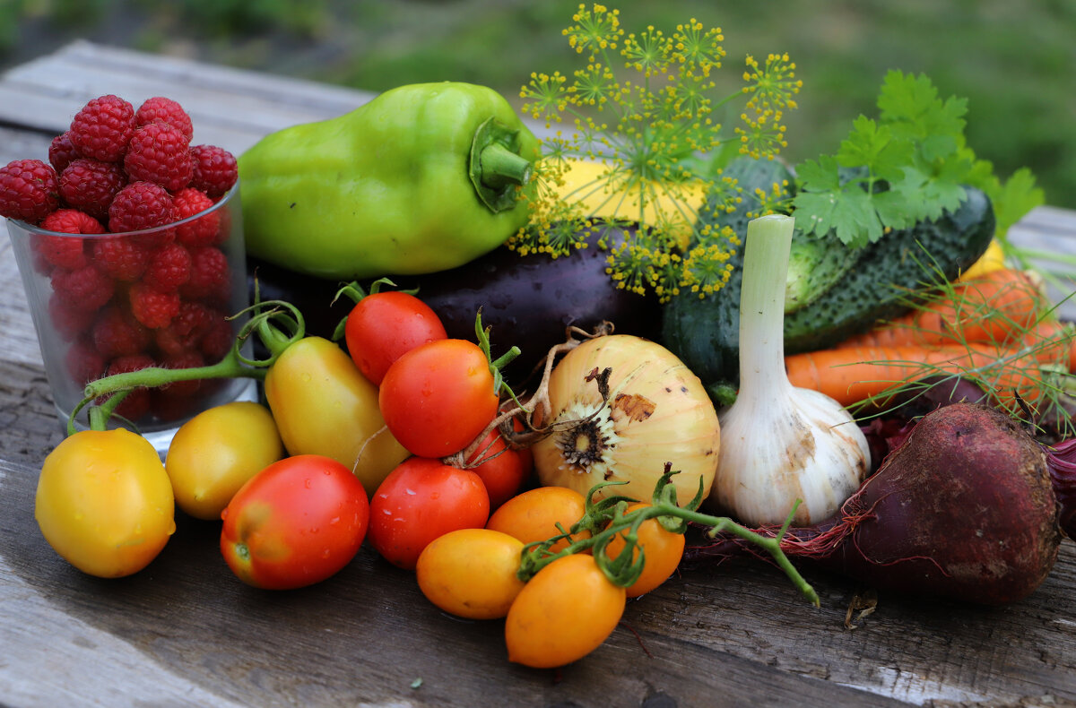 23 июля - краснов юрий 