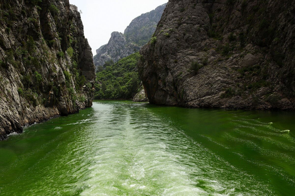 Скалистые берега - Юрий. Шмаков