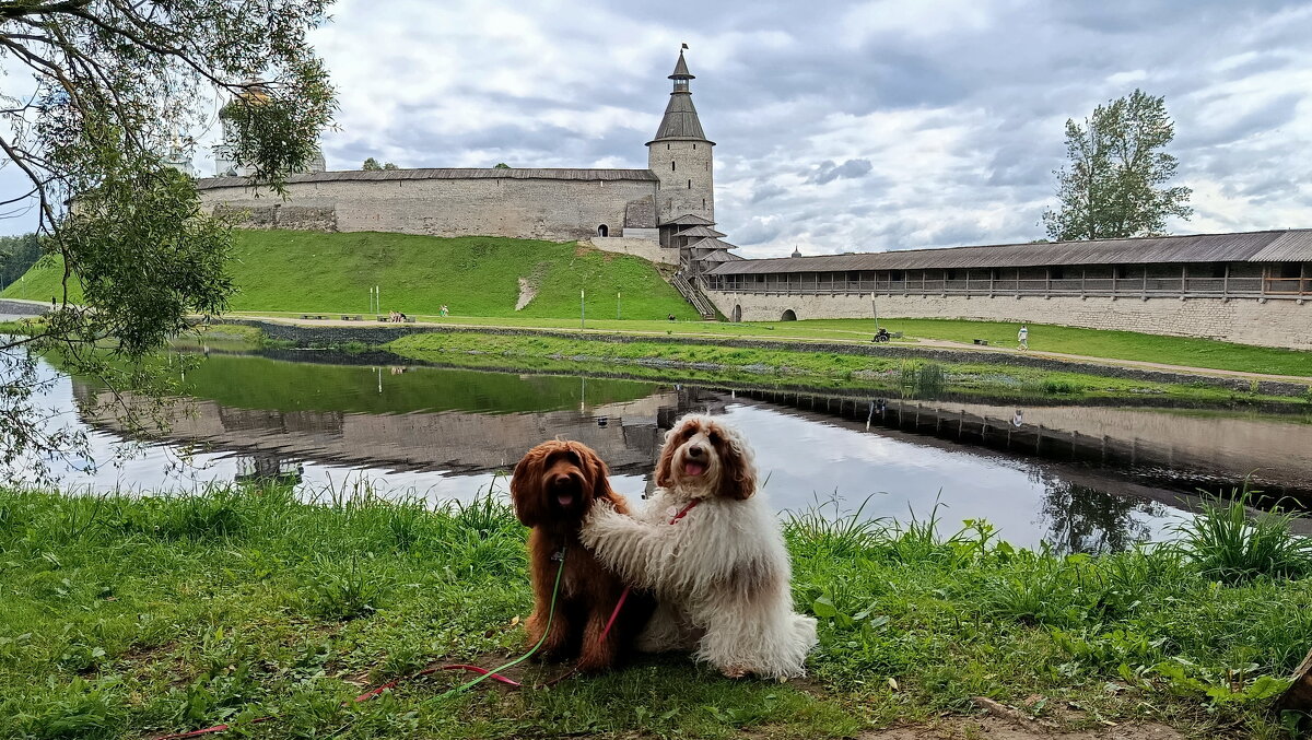 Без названия - Николай 