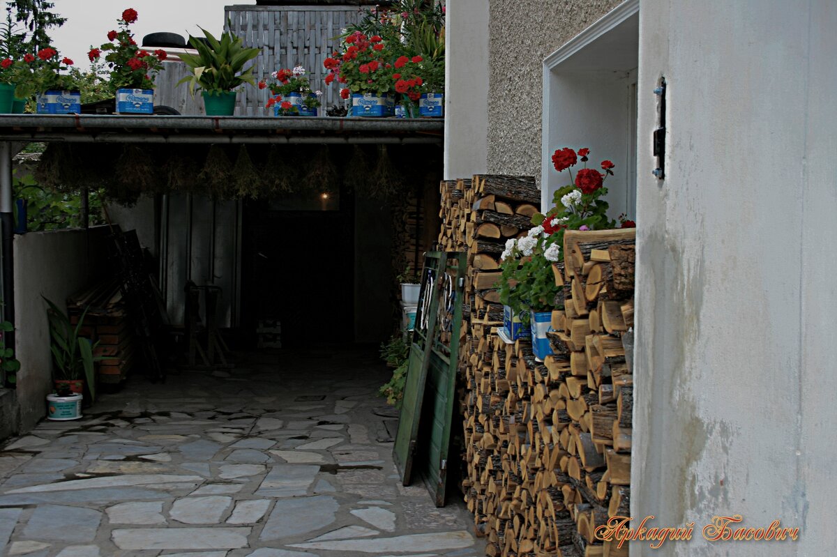 Поленница - Аркадий Басович