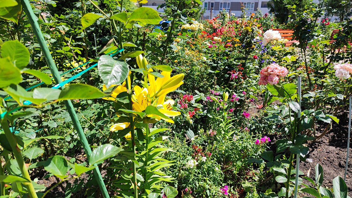 ,,, - Сергей Тимоновский