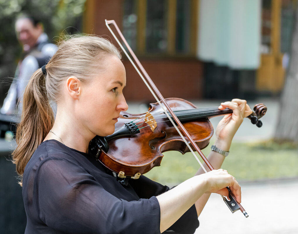 Скрипка - Александр 