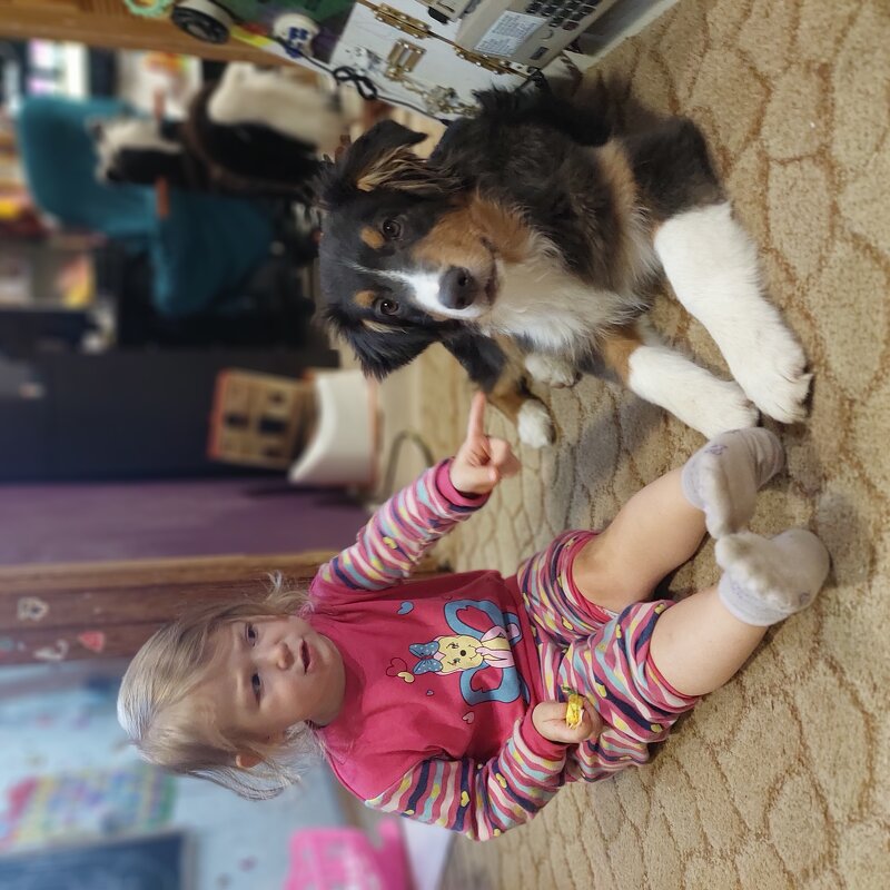 лежать!!! - Артём 