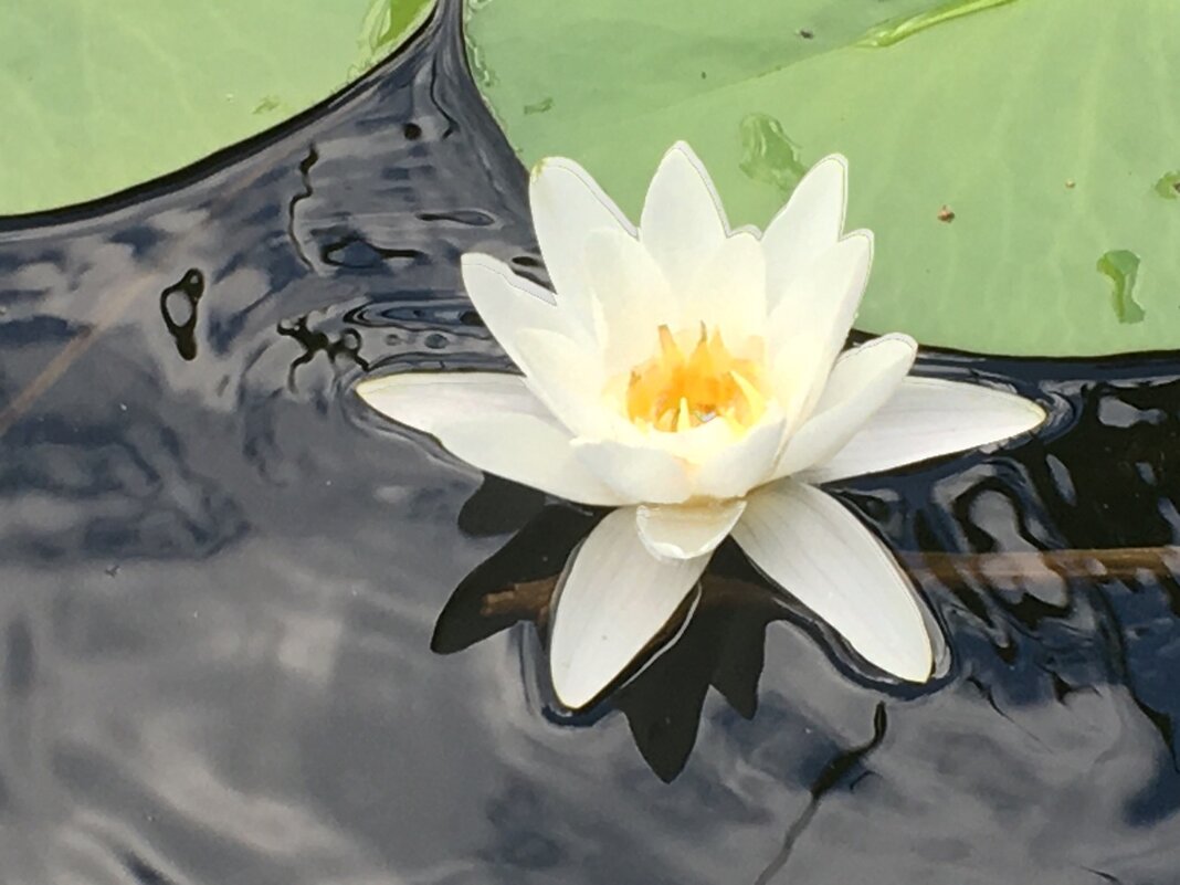 Красотища................................................ - Владимир Павлов