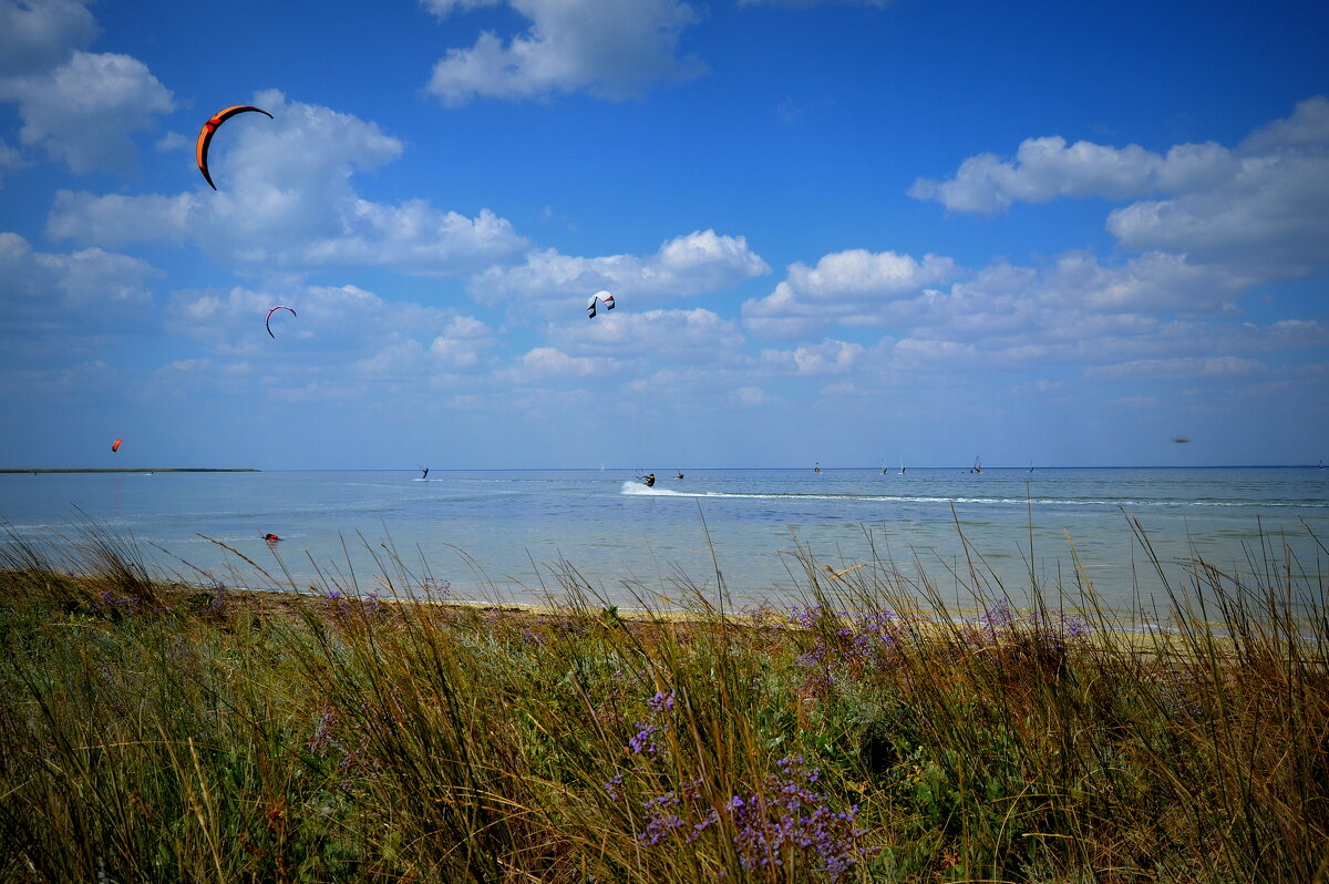 ____ - Татьяна Касьяненко