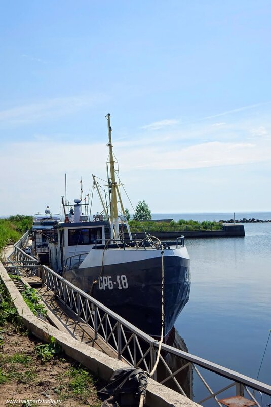 СРБ - Игорь Корф