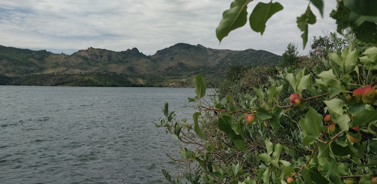 Озеро Жасыбай - Андрей Хлопонин