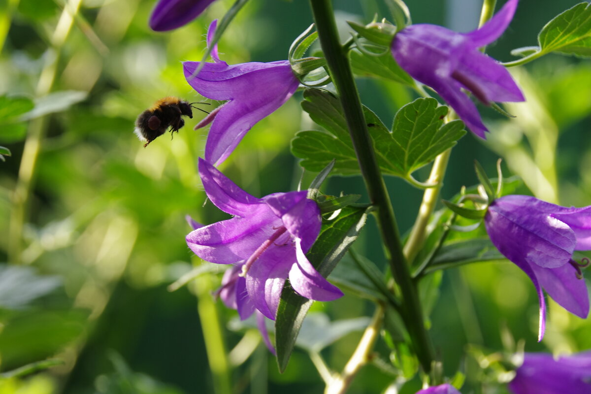 Кто в теремочке? - Сергей Швечков Кто в теремочке? - Сергей Швечков