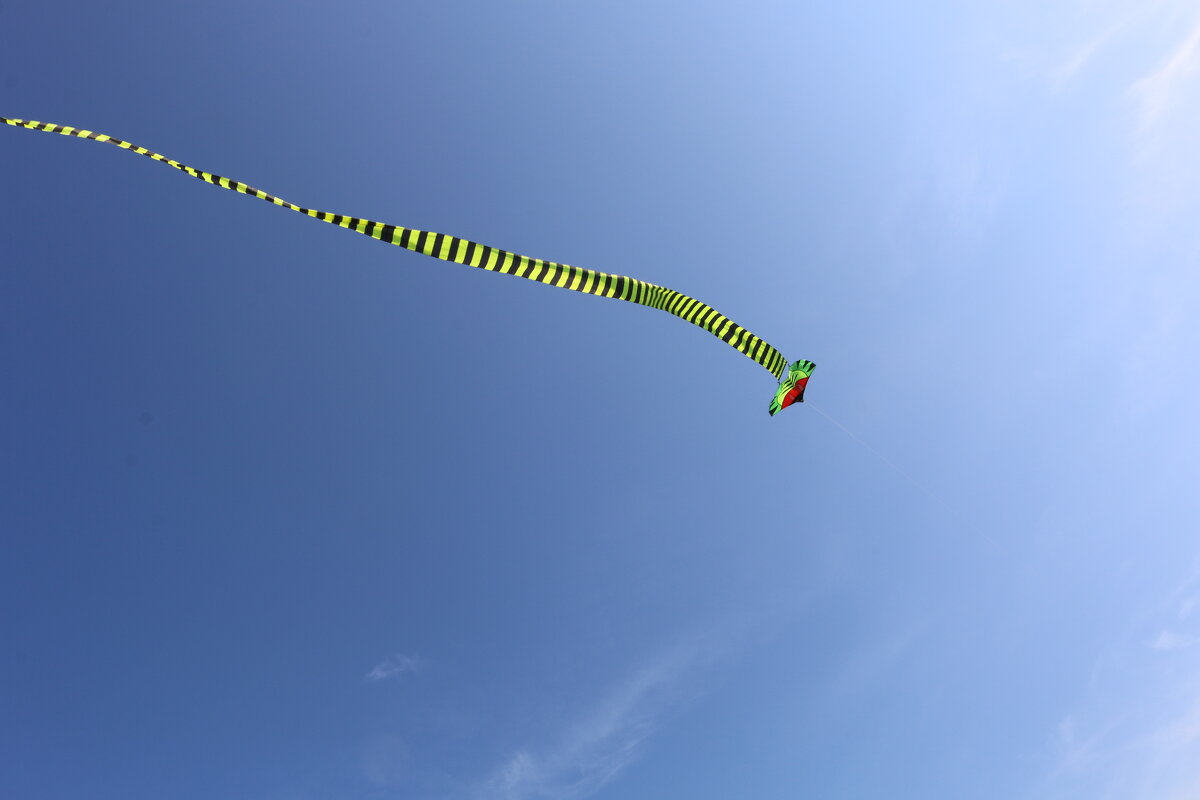 Воздушный змей - Ольга 