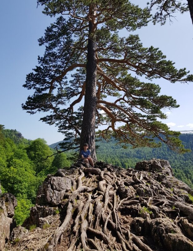 ЛАГОНАКИ - Tata Wolf