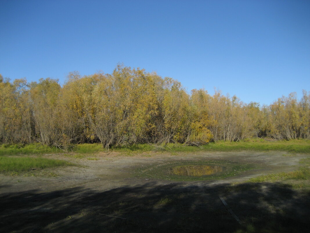 У протоки - Anna Ivanova У протоки - Anna Ivanova