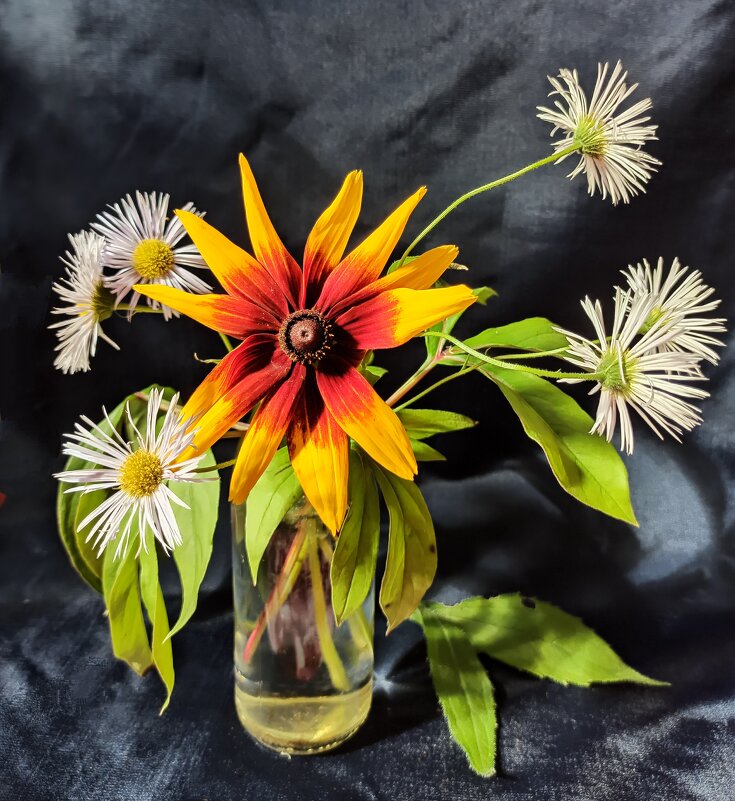 Июль кончается... - veilins veilins