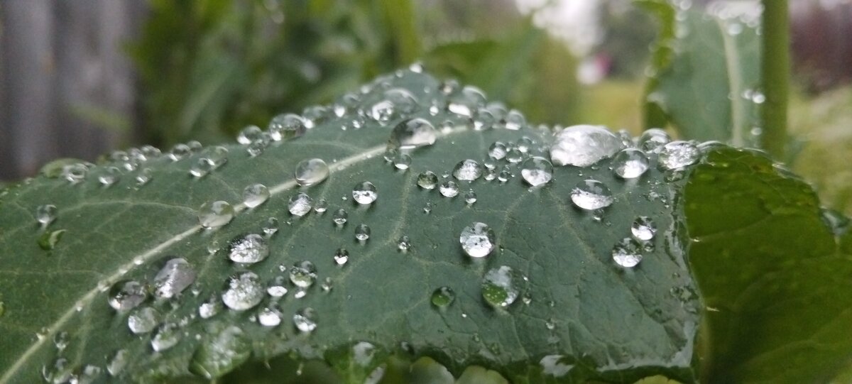 Не смог пройти мимо - Шу Юншен