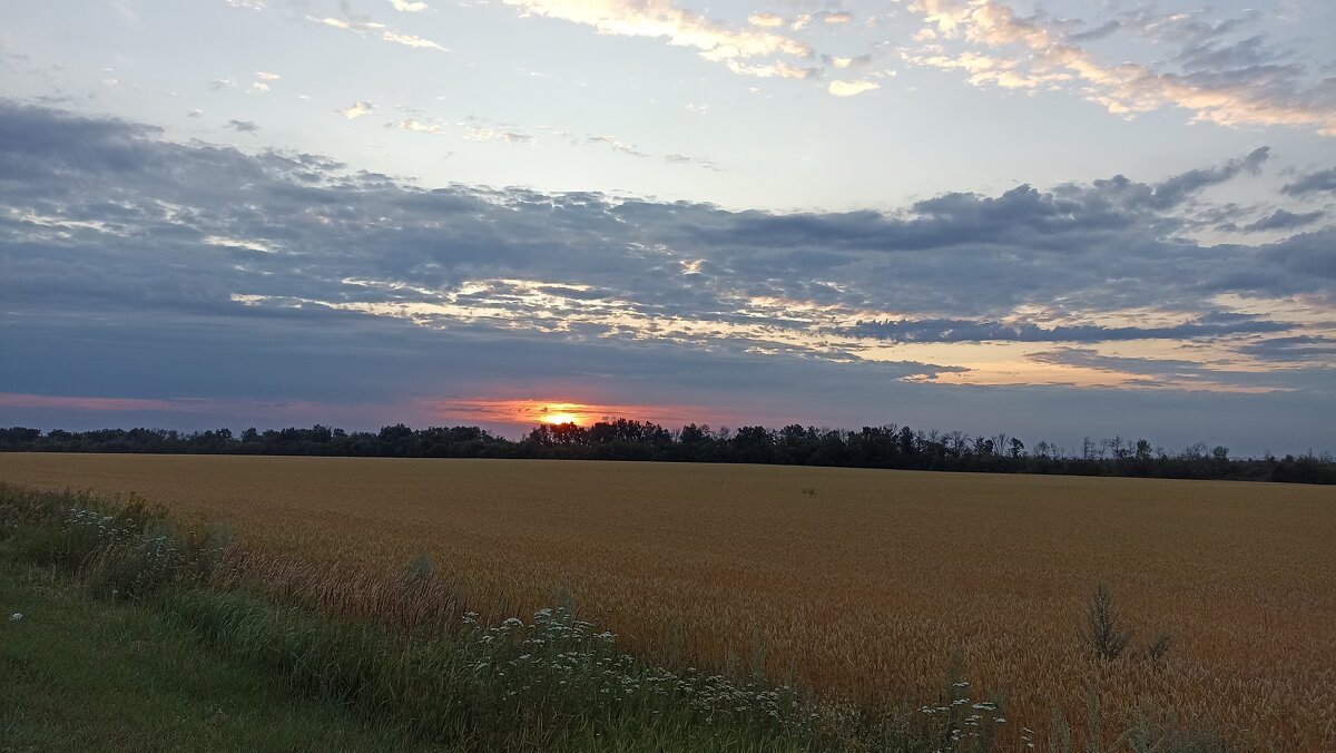 Рассвет - Инна Драбкина