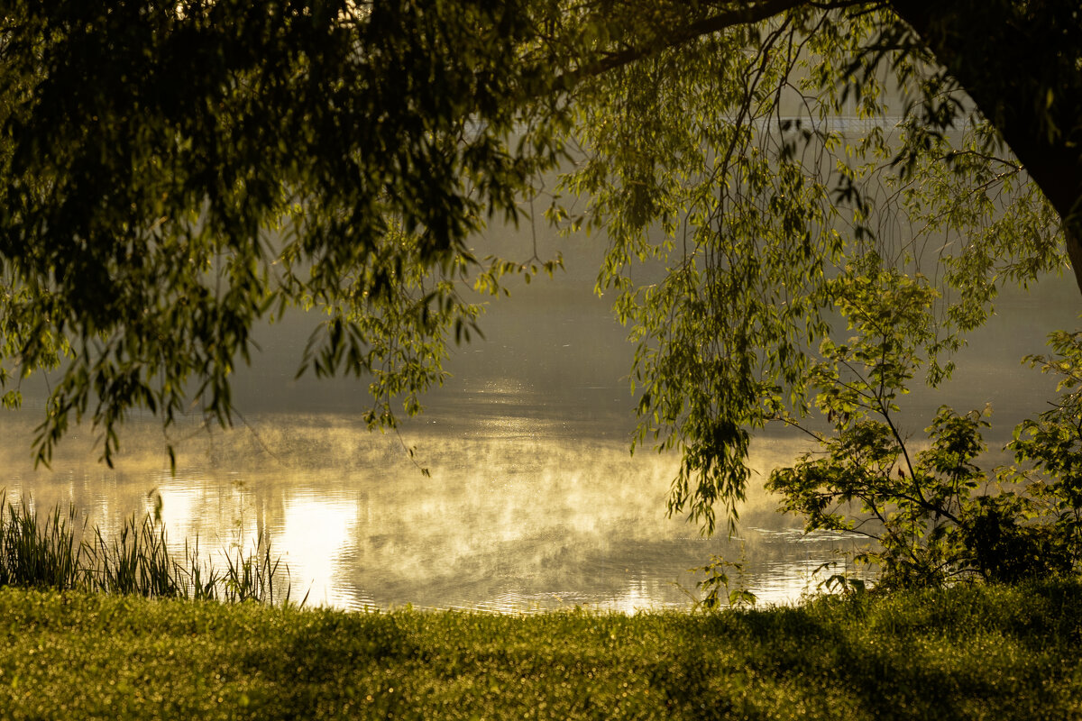 * - k-e-r-g-u-d-u DM