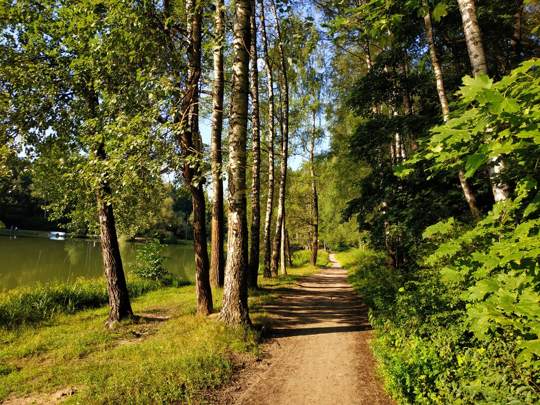 Потому, что лето - Андрей Лукьянов