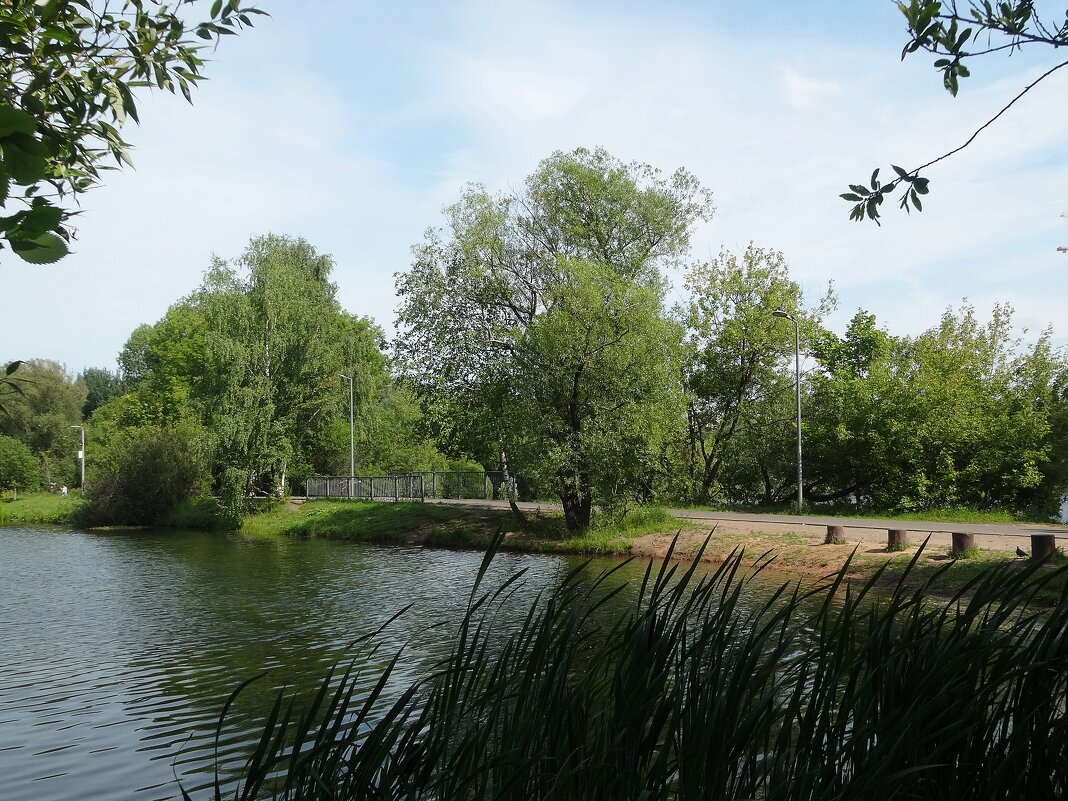 Парк усадьбы Покровское-Стрешнево - Лидия Бусурина