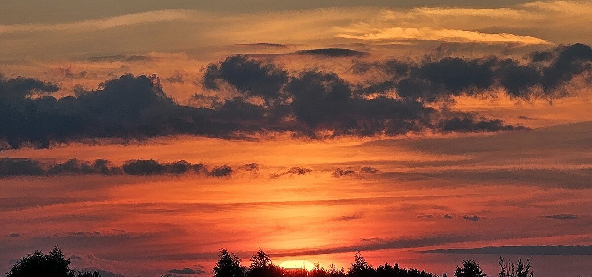 Закат - Михаил Свиденцов