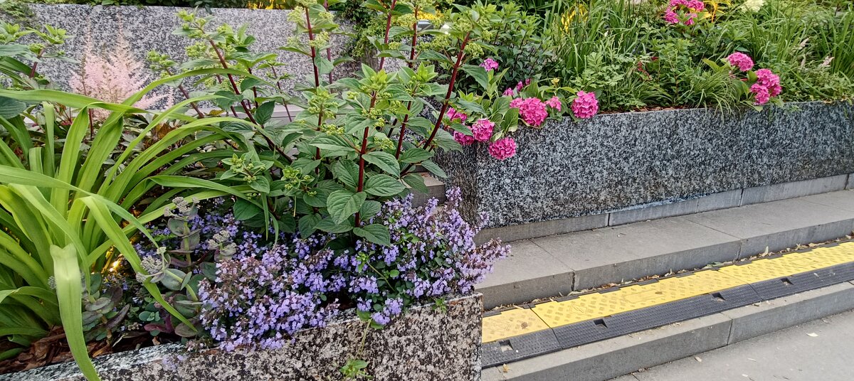 город-сад - Галина R... город-сад - Галина R...