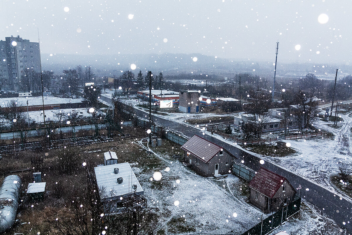 Пионерский - Дмитрий 