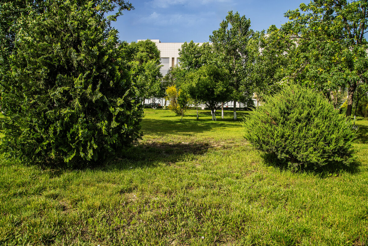 Зелёный уголок - Анатолий Чикчирный Зелёный уголок - Анатолий Чикчирный