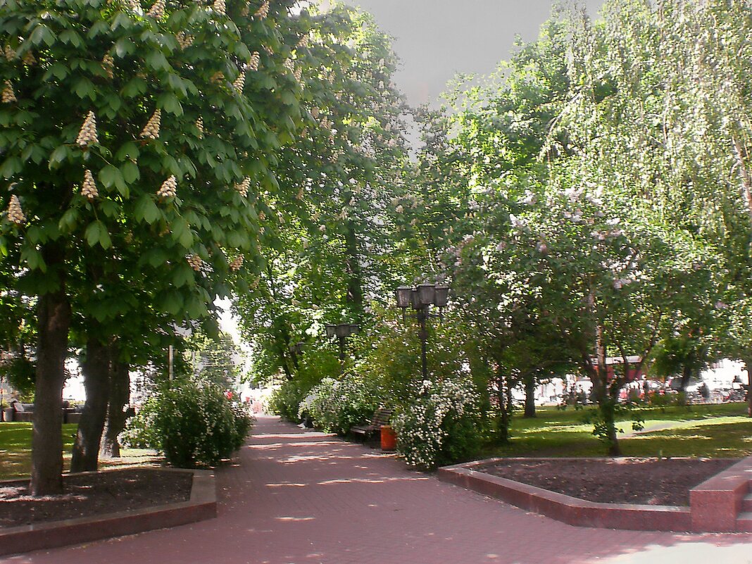 Весна в городе - Роман Савоцкий