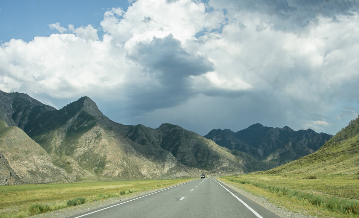 *** - Николай Чекалин