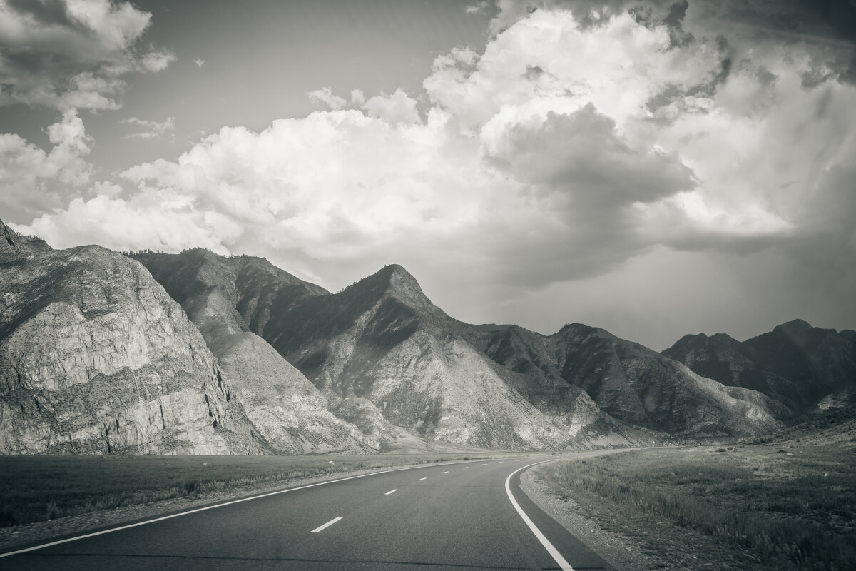 *** - Николай Чекалин