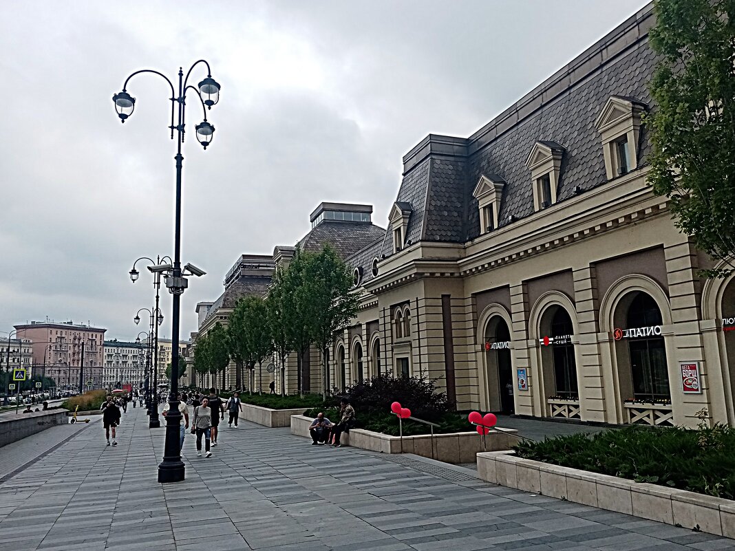 Павелецкий вокзал. - Владимир Драгунский