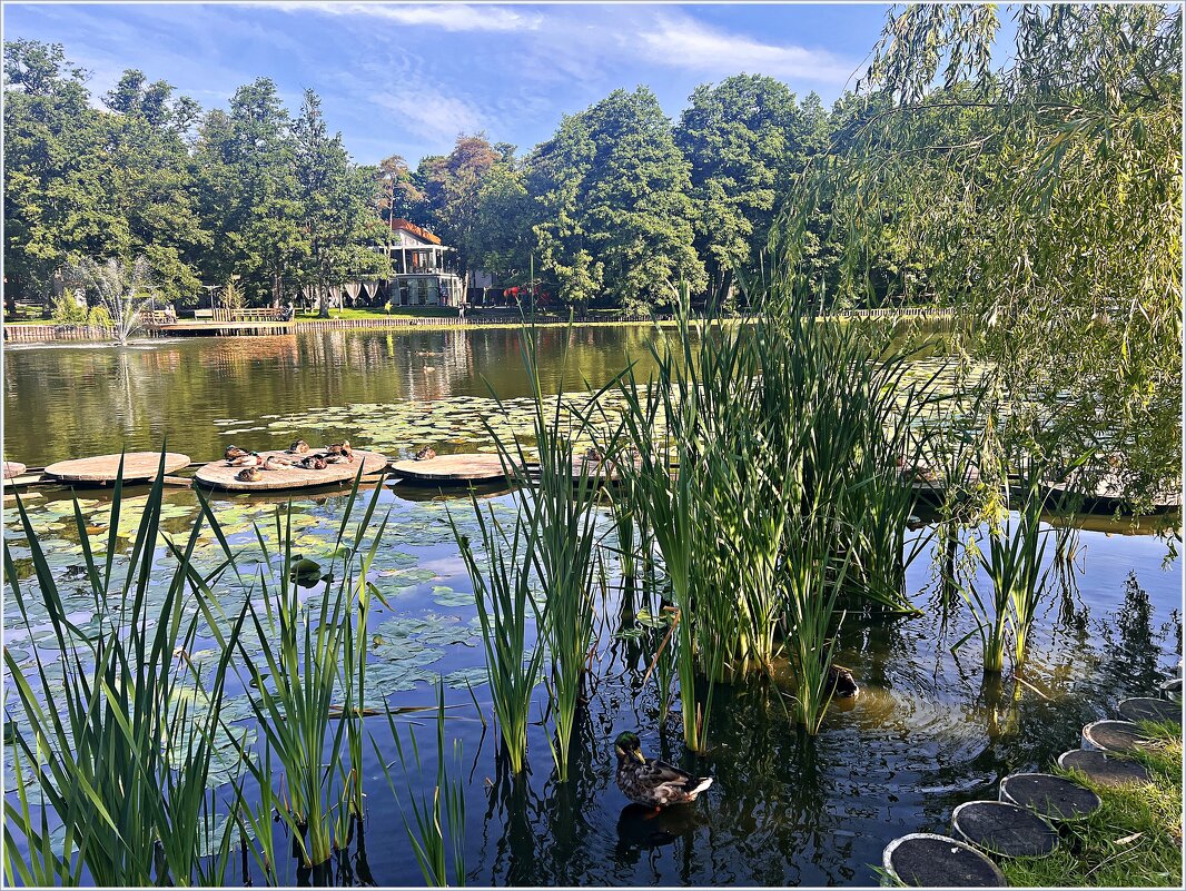 На озере. - Валерия Комова На озере. - Валерия Комова