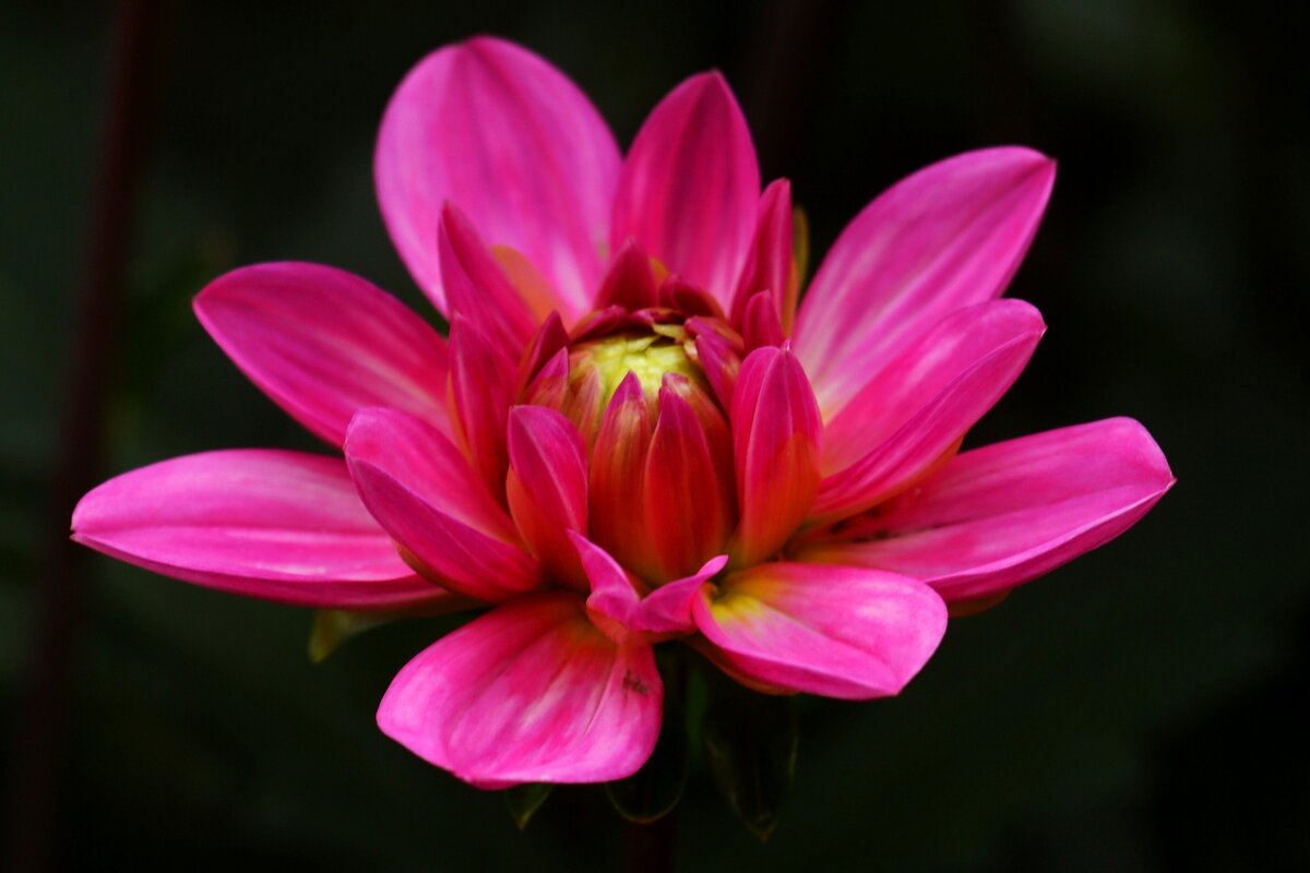 Доброе утро - Юрий. Шмаков