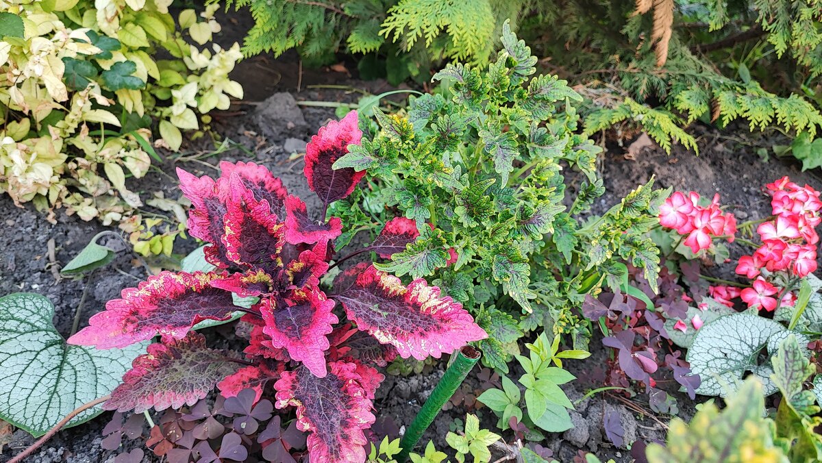 ,,, - Сергей Тимоновский