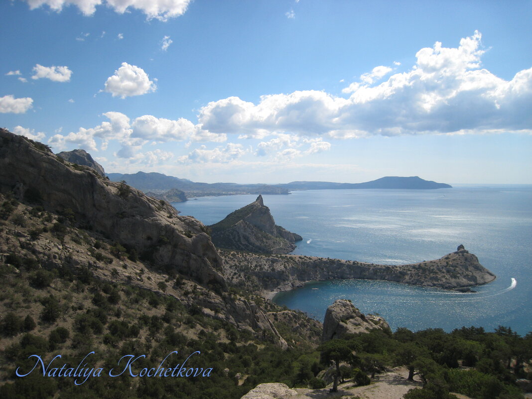 Природа Крыма - Amazing Cosmea